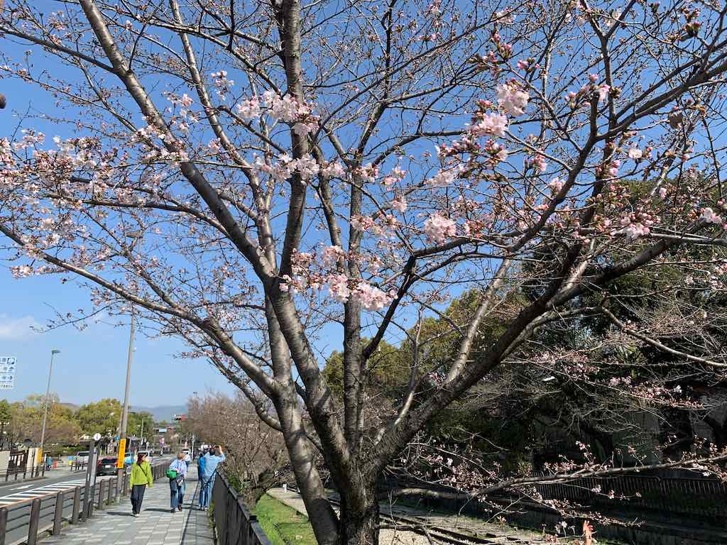 IMG_4876 (1)